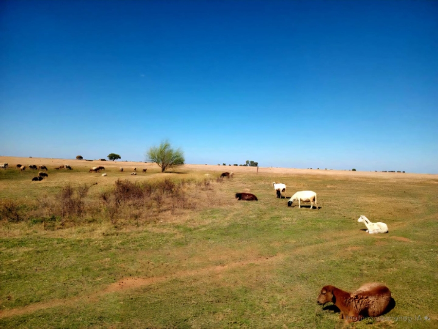  Bedroom Property for Sale in Bloemhof North West